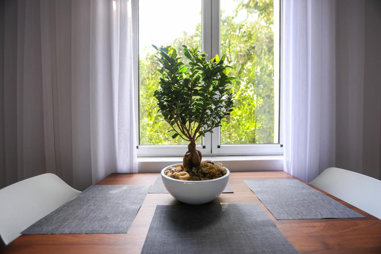 "Middlenest" Central Apartment ティラナ エクステリア 写真
